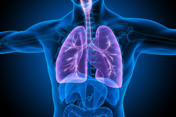 Balances Kapha & Reduces Respiratory Congestion