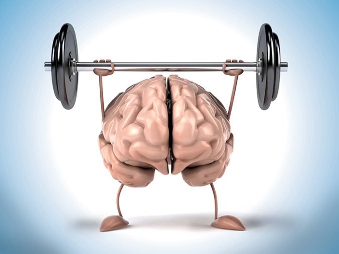 Enhances Brain Function & Memory