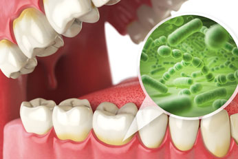Fights Oral Bacteria