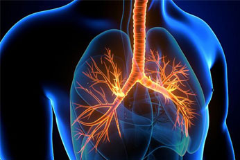 supports Immune & Respiratory Resilience