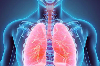 Promotes immune and respiratory wellness