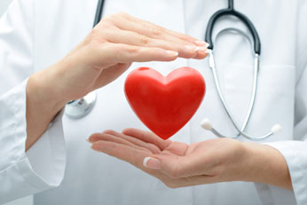 Supports Heart Wellness