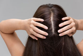 Nourishe Follicles