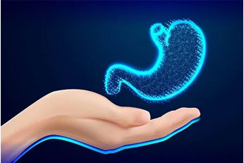 Improves Digestion & Absorption