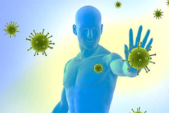 Boosts Immunity & Energy