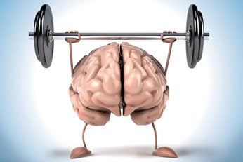 Enhances Brain Function & Memory