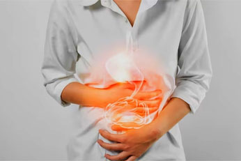 Supports Gut Health